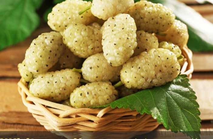 The White Mulberry Health Benefits