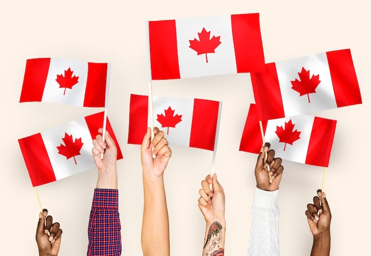 canada visa consultants