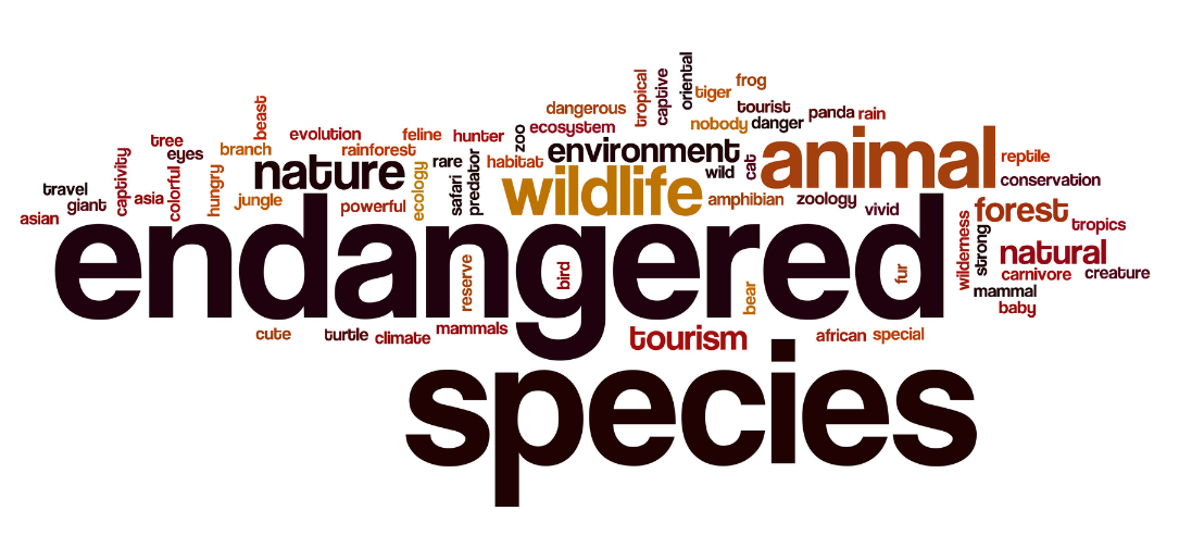 Endangered Species News