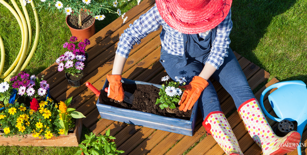 Thriving Garden