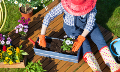 Thriving Garden