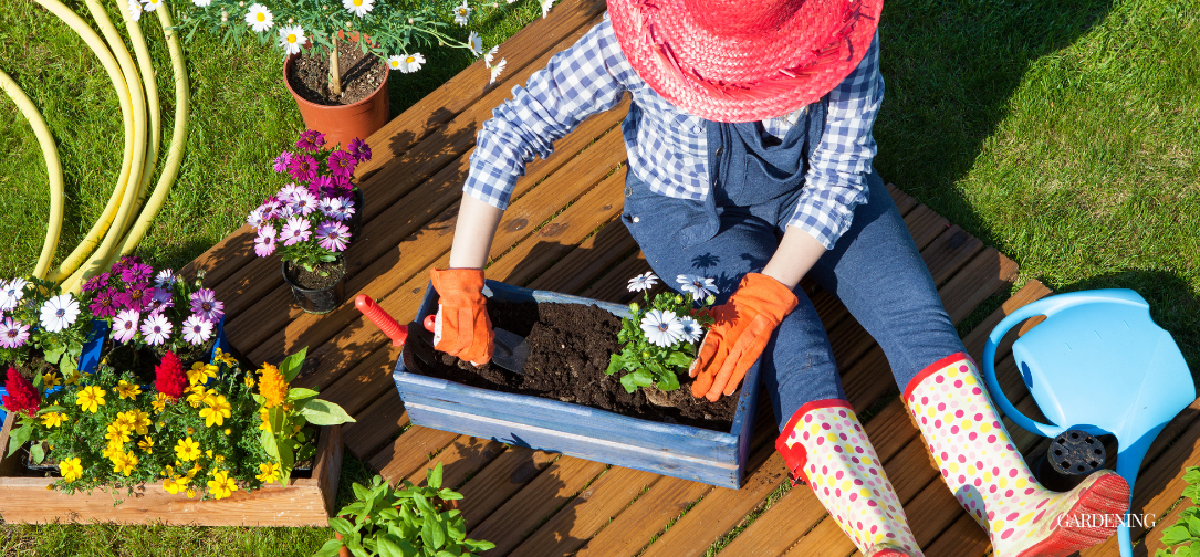 Thriving Garden