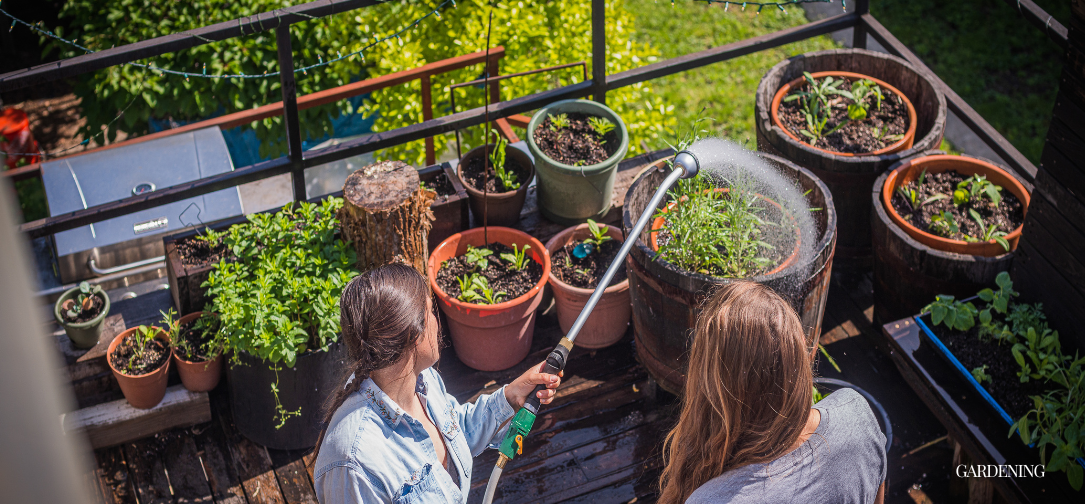 The Foundation of a Thriving Garden