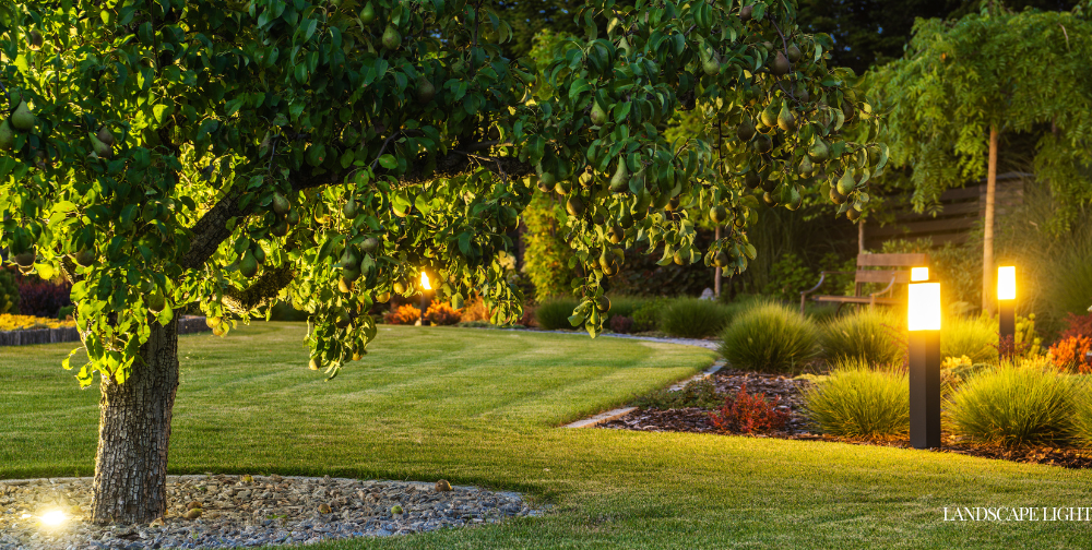 Landscape Lighting for Safety, Security, and Beauty