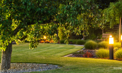 Landscape Lighting for Safety, Security, and Beauty