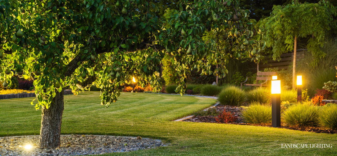 Landscape Lighting for Safety, Security, and Beauty