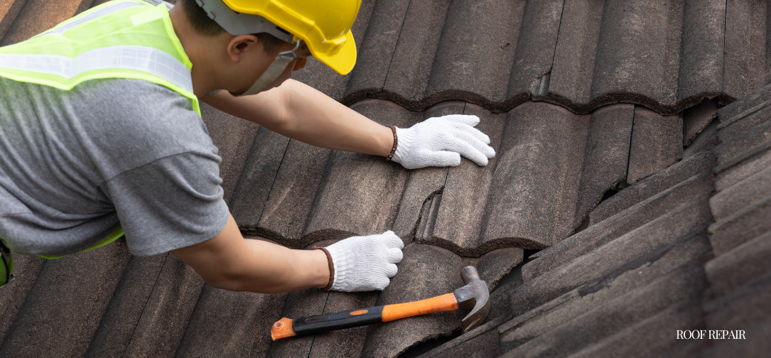 Roof Repair: A Comprehensive Guide