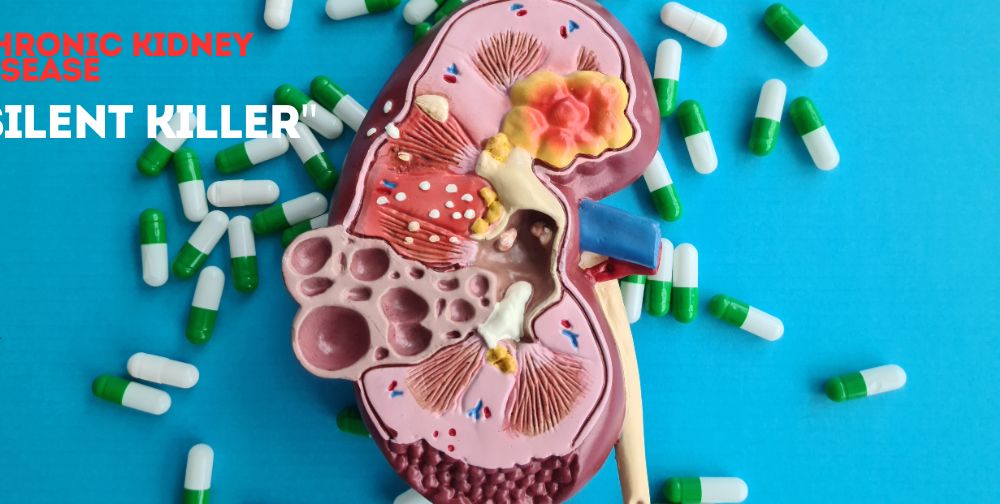 Function of the Kidneys