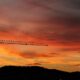 silhouette of crane and hill under cloudy sky photo taken during sunset