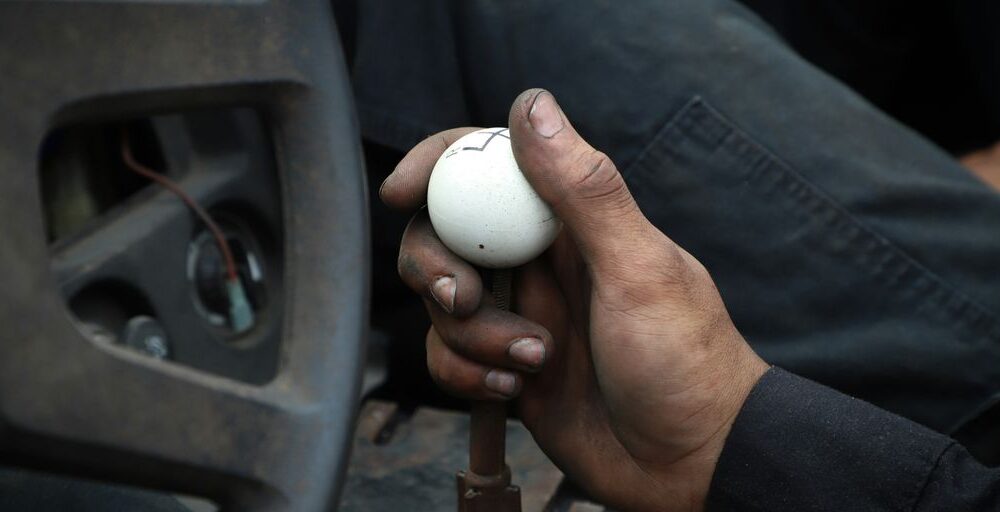 person holding white ball