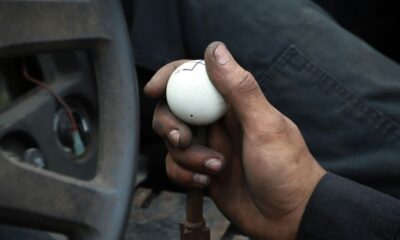 person holding white ball