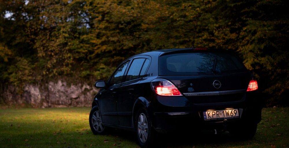 a small black car parked in a grassy area