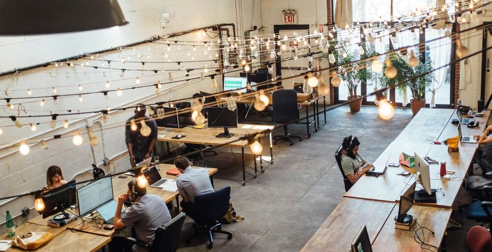 people sitting in front of computer monitors