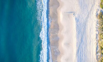 aerial photo of beach at daytime