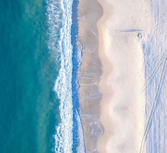 aerial photo of beach at daytime