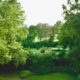 An aerial view of a lush green park