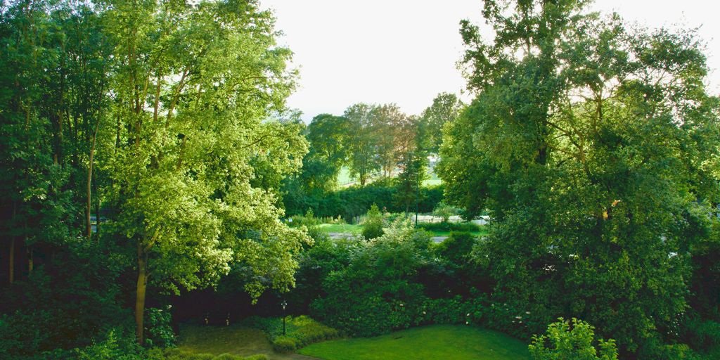 An aerial view of a lush green park