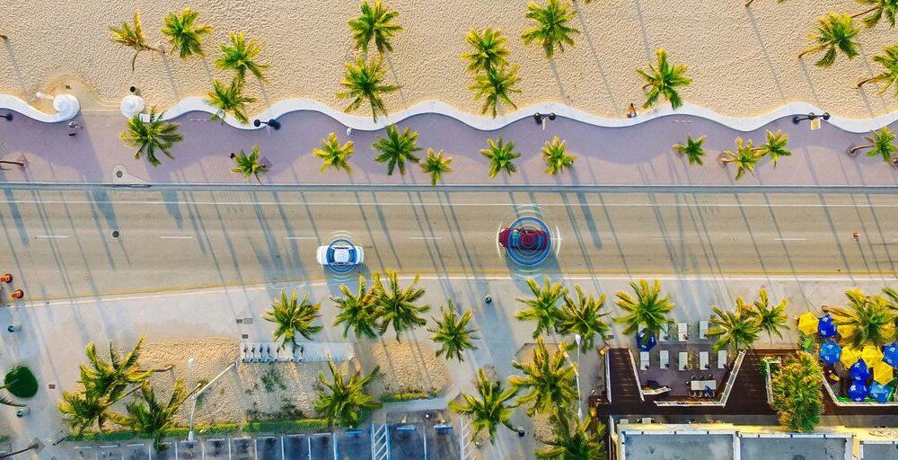 an aerial view of a beach with palm trees