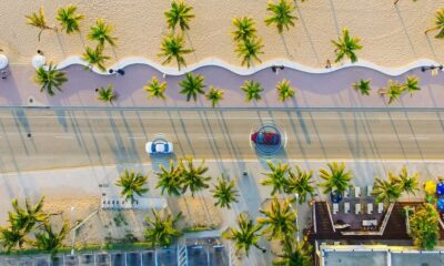 an aerial view of a beach with palm trees