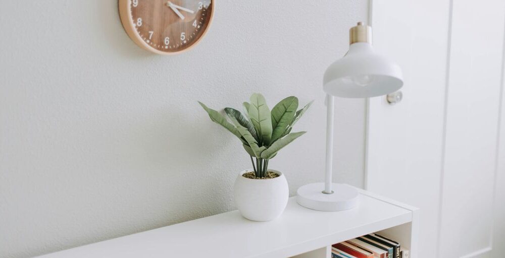 green plant on white pot beside white study lamp