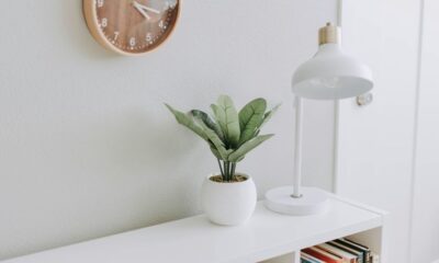 green plant on white pot beside white study lamp