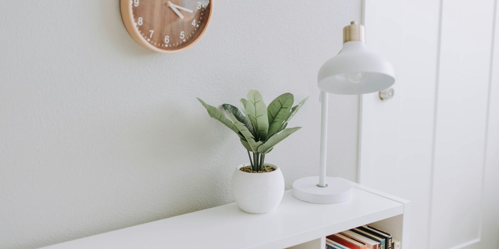 green plant on white pot beside white study lamp