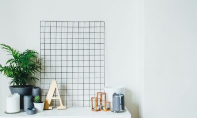 potted plants on table