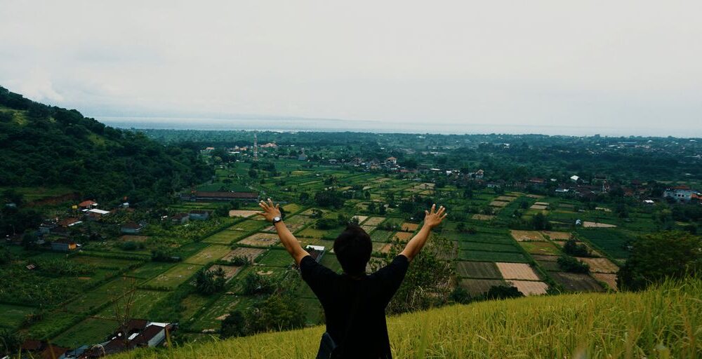 a man standing on top of a lush green hillside