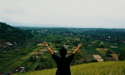 a man standing on top of a lush green hillside