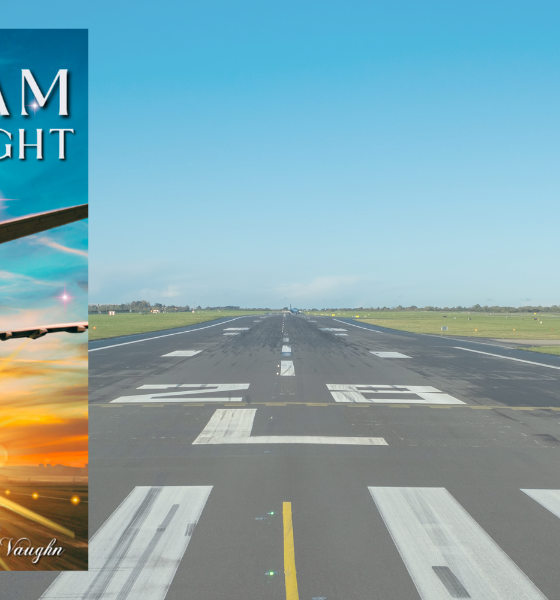 A Dream Takes Flight by Constance Vaughn