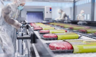 Frozen Food Processing Machinery Market Demand will reach a value of US$ 35.3 Bn by the year 2034 at a CAGR of 4.2%