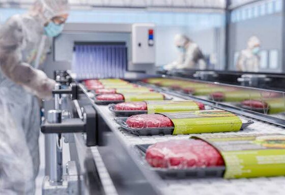 Frozen Food Processing Machinery Market Demand will reach a value of US$ 35.3 Bn by the year 2034 at a CAGR of 4.2%