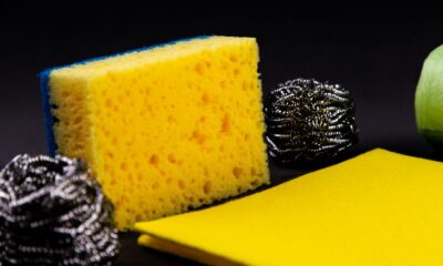 yellow sponge between two steel wools