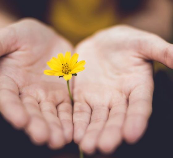 selective focus photography of woman holding yellow petaled flowers