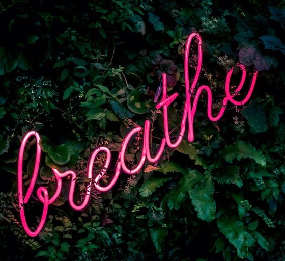 pink breathe neon sign