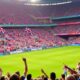 Fans cheering during an English Premier League match.