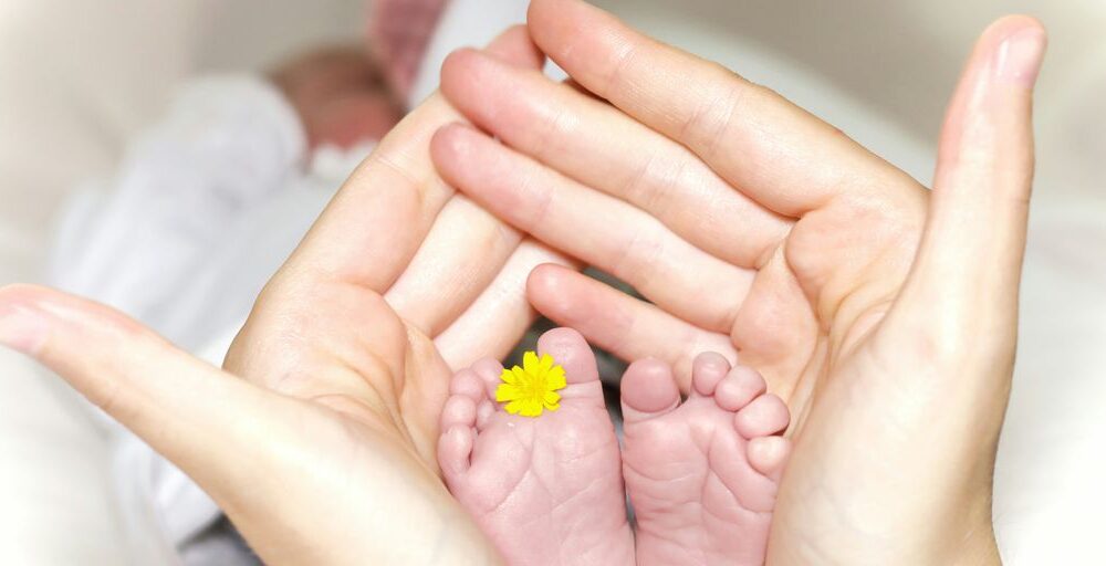 person holding baby's toe with yellow petaled flower in between