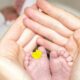 person holding baby's toe with yellow petaled flower in between