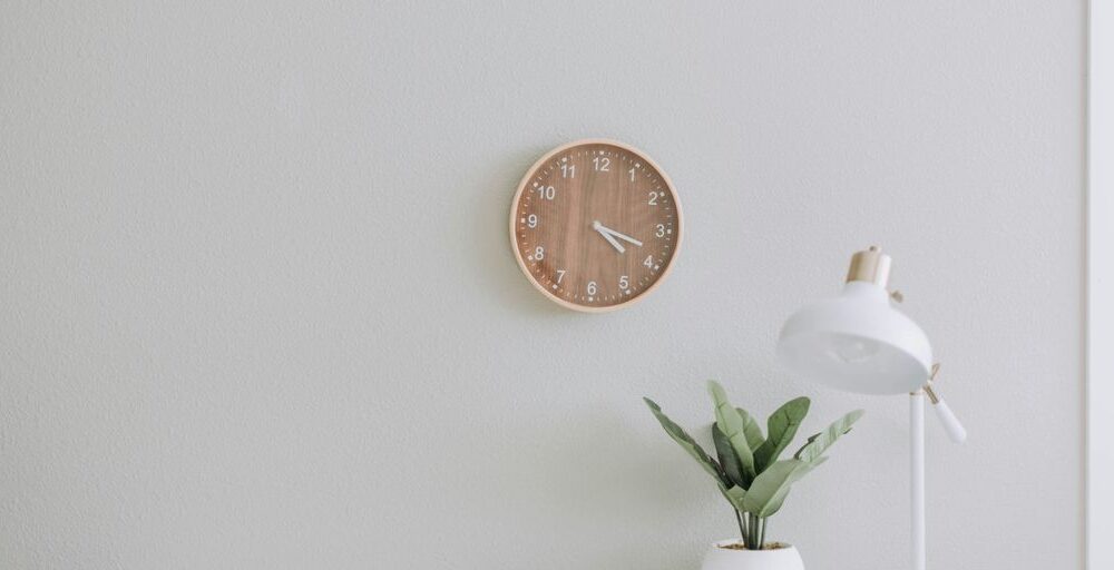 white desk lamp beside green plant