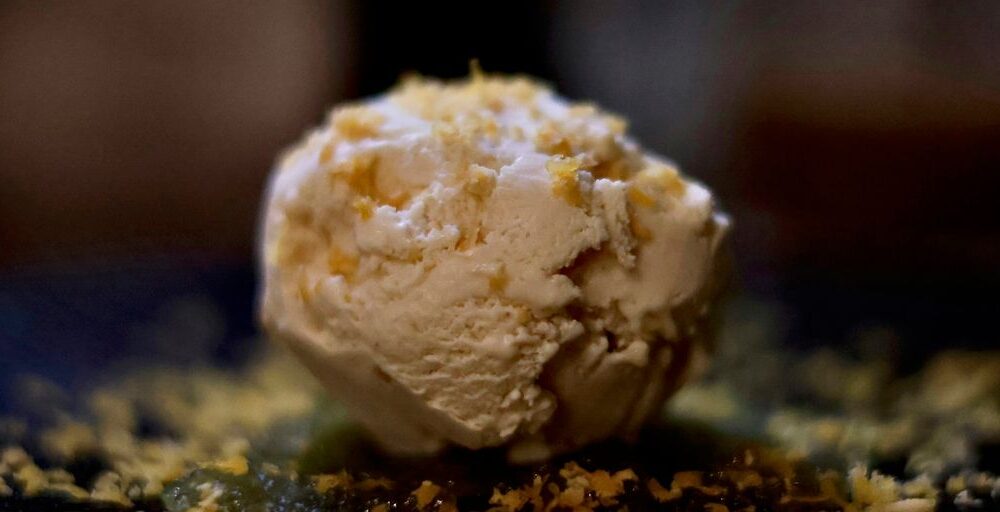 a close up of a white flower