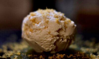 a close up of a white flower