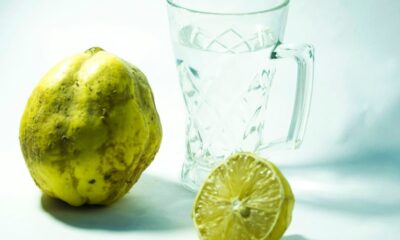 yellow lemon beside clear glass mug