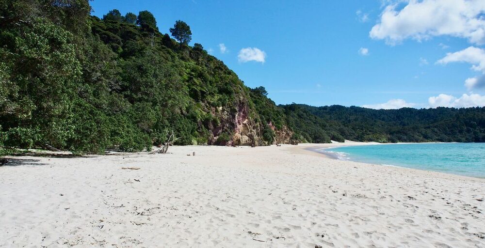 people on beach during daytime
