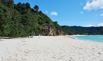 people on beach during daytime