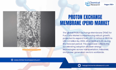 Proton Exchange Membrane