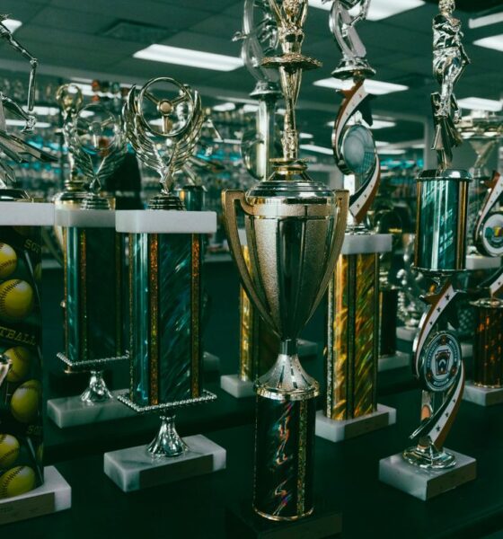 Collection of trophies displayed on shelves.